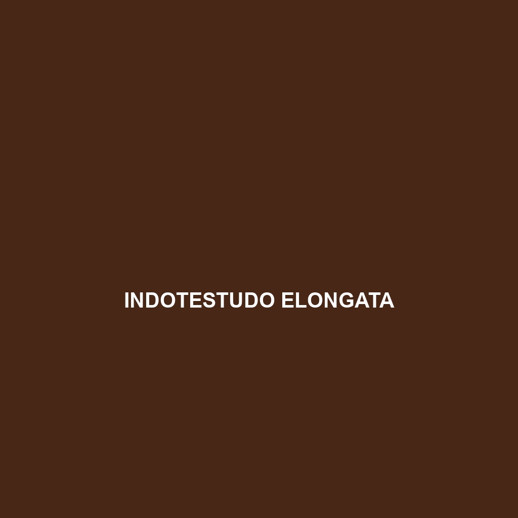 Indotestudo elongata