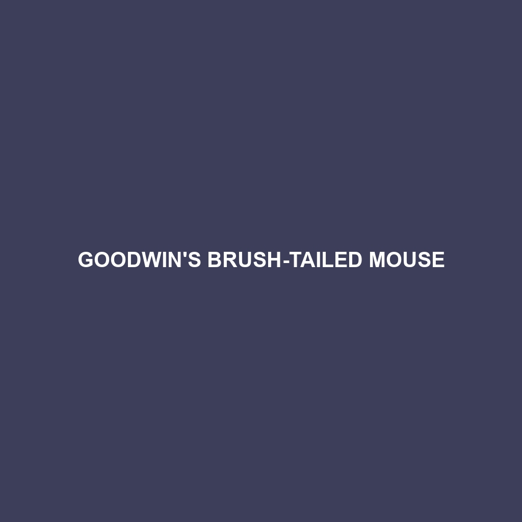 Goodwin's Brush-tailed Mouse