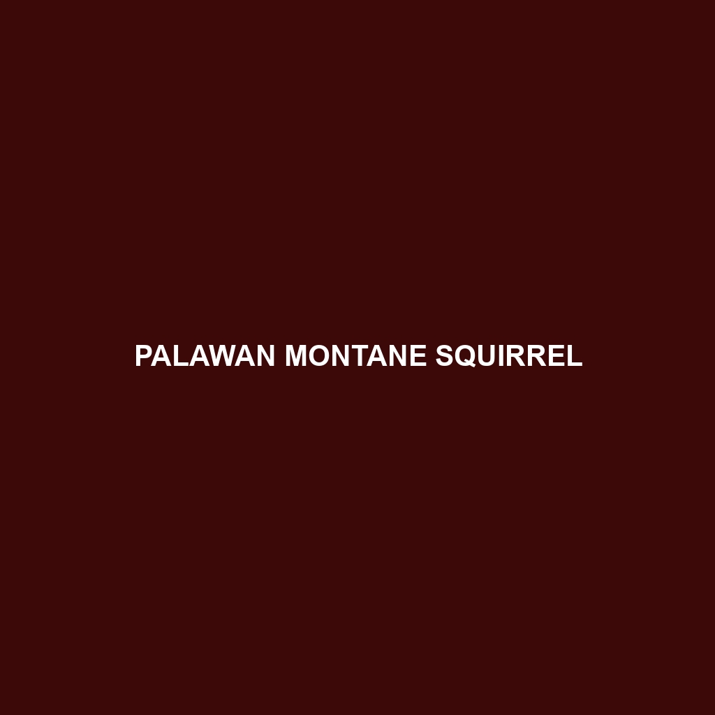 Palawan Montane Squirrel