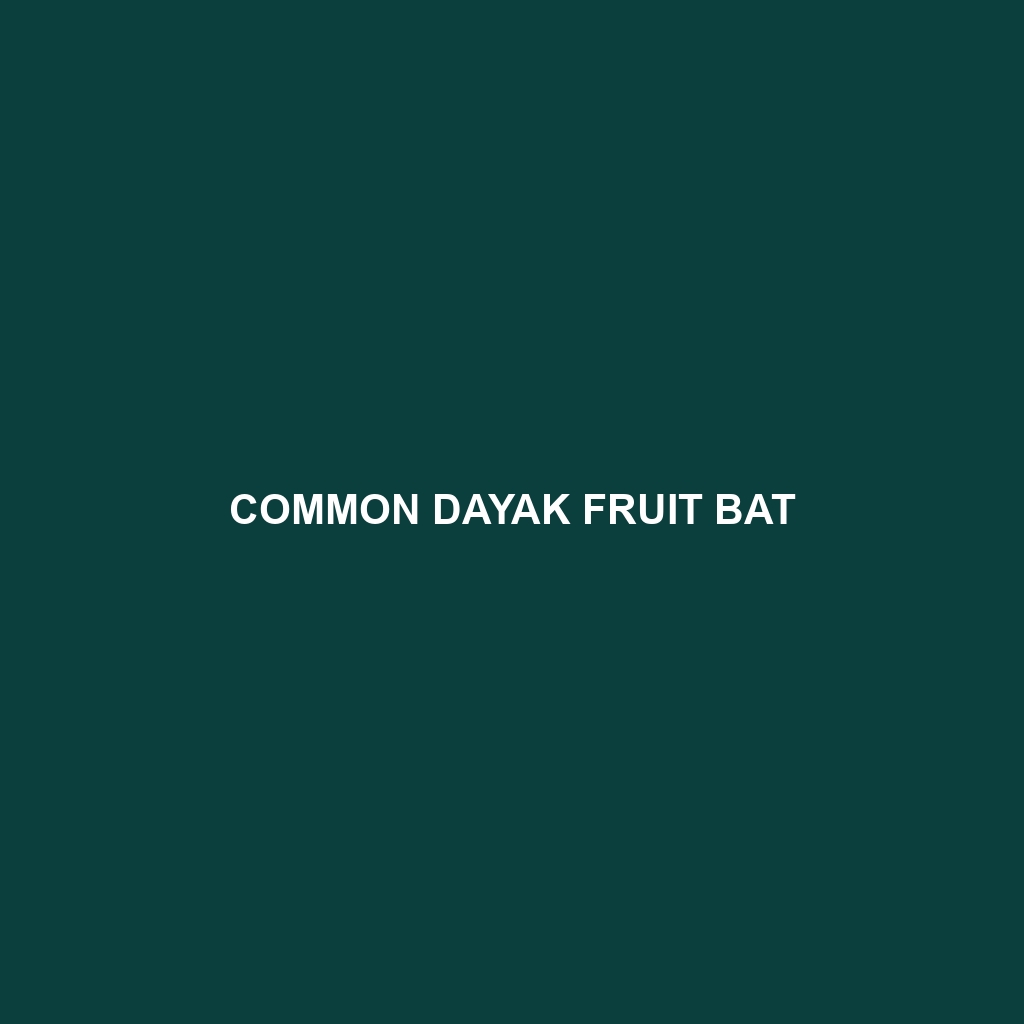 Common Dayak Fruit Bat