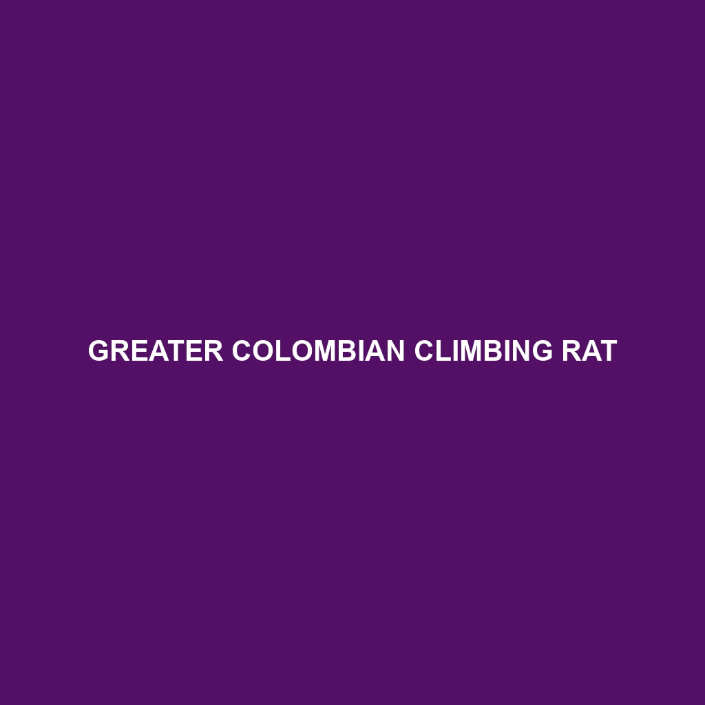 Greater Colombian Climbing Rat