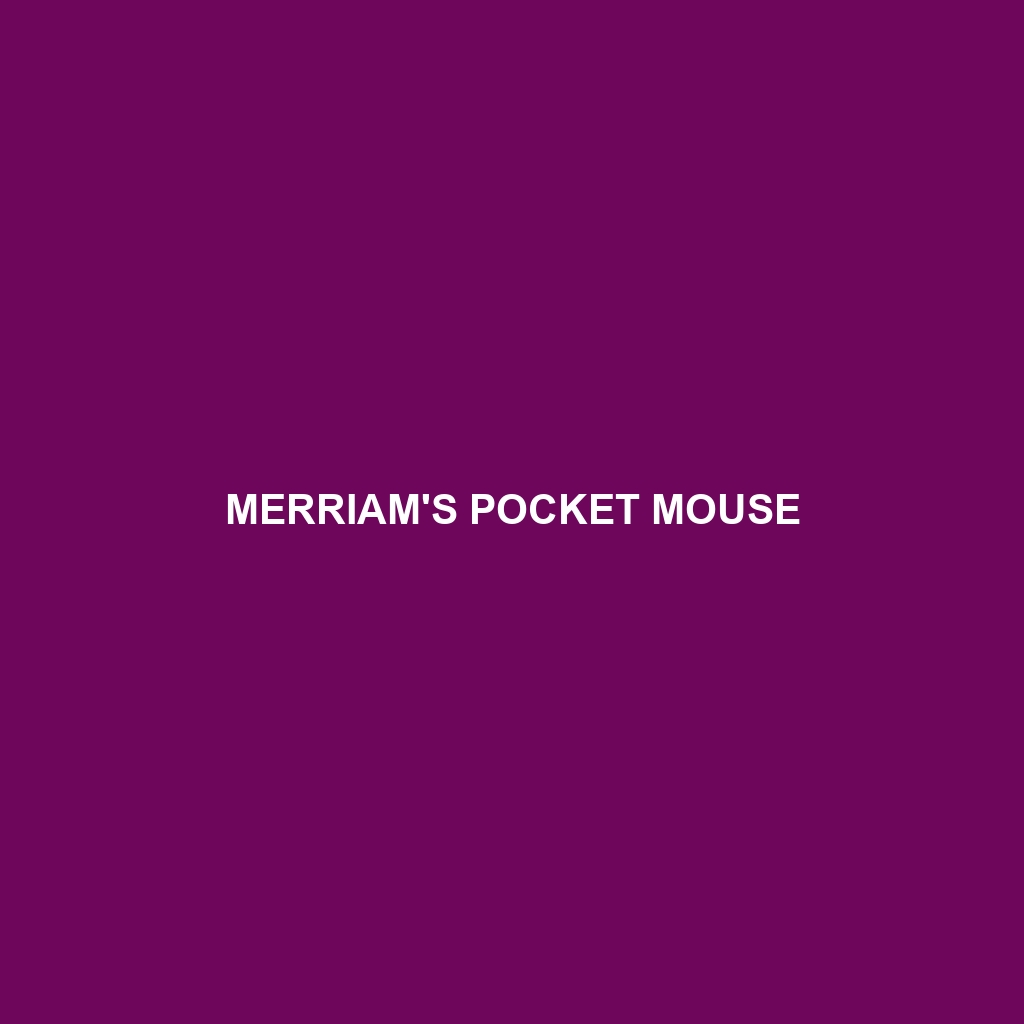 Merriam's Pocket Mouse