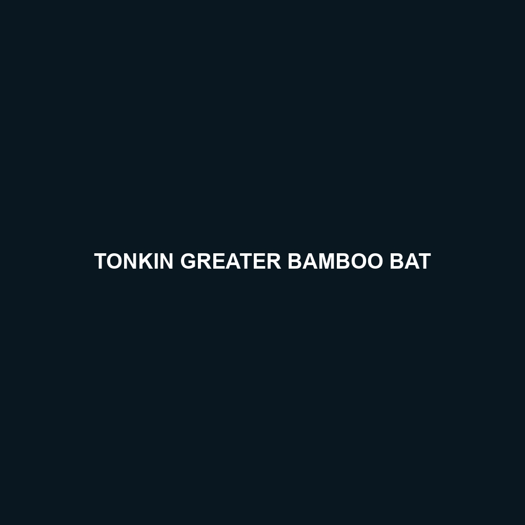 Tonkin Greater Bamboo Bat