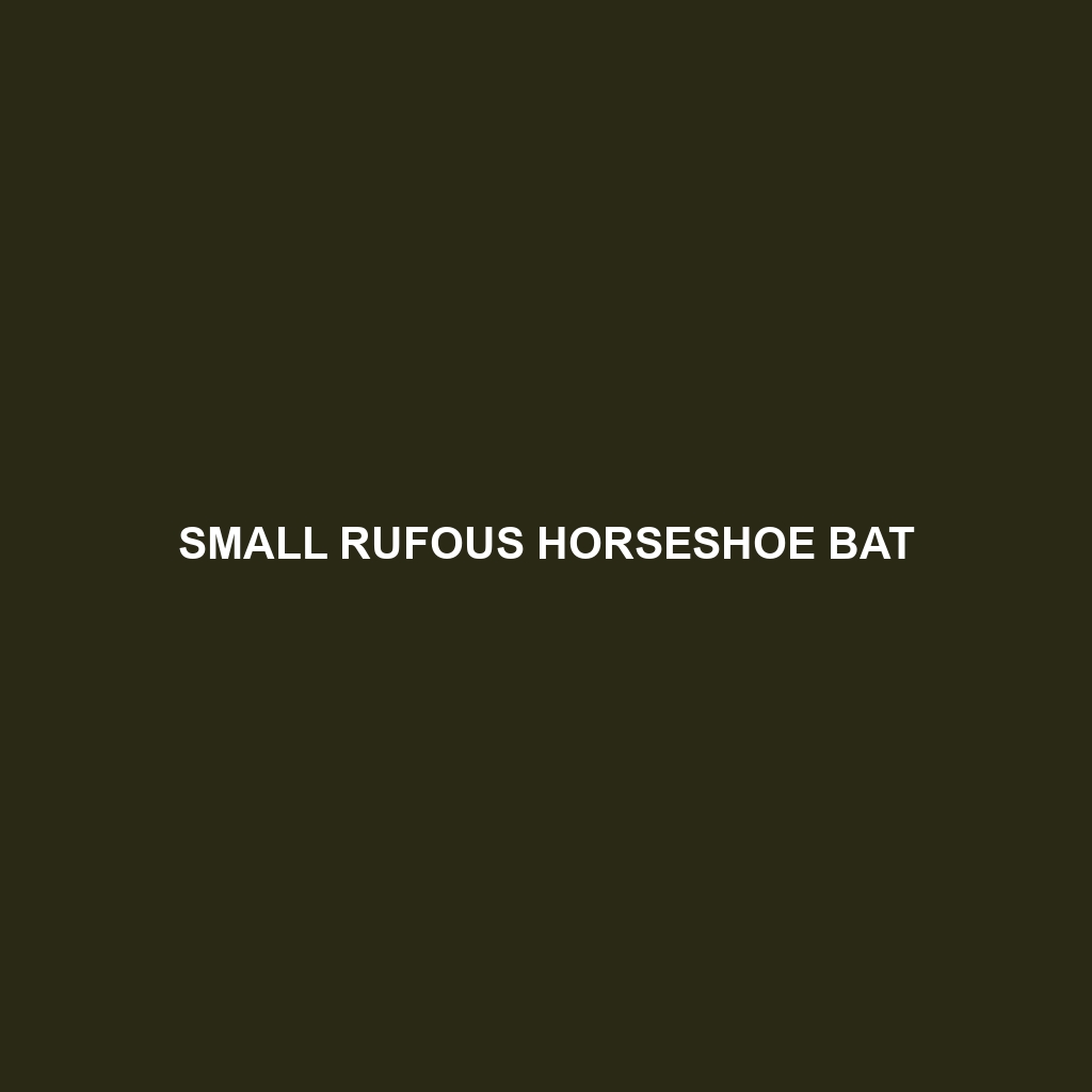 Small Rufous Horseshoe Bat