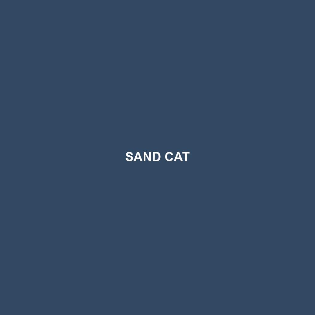 Sand Cat