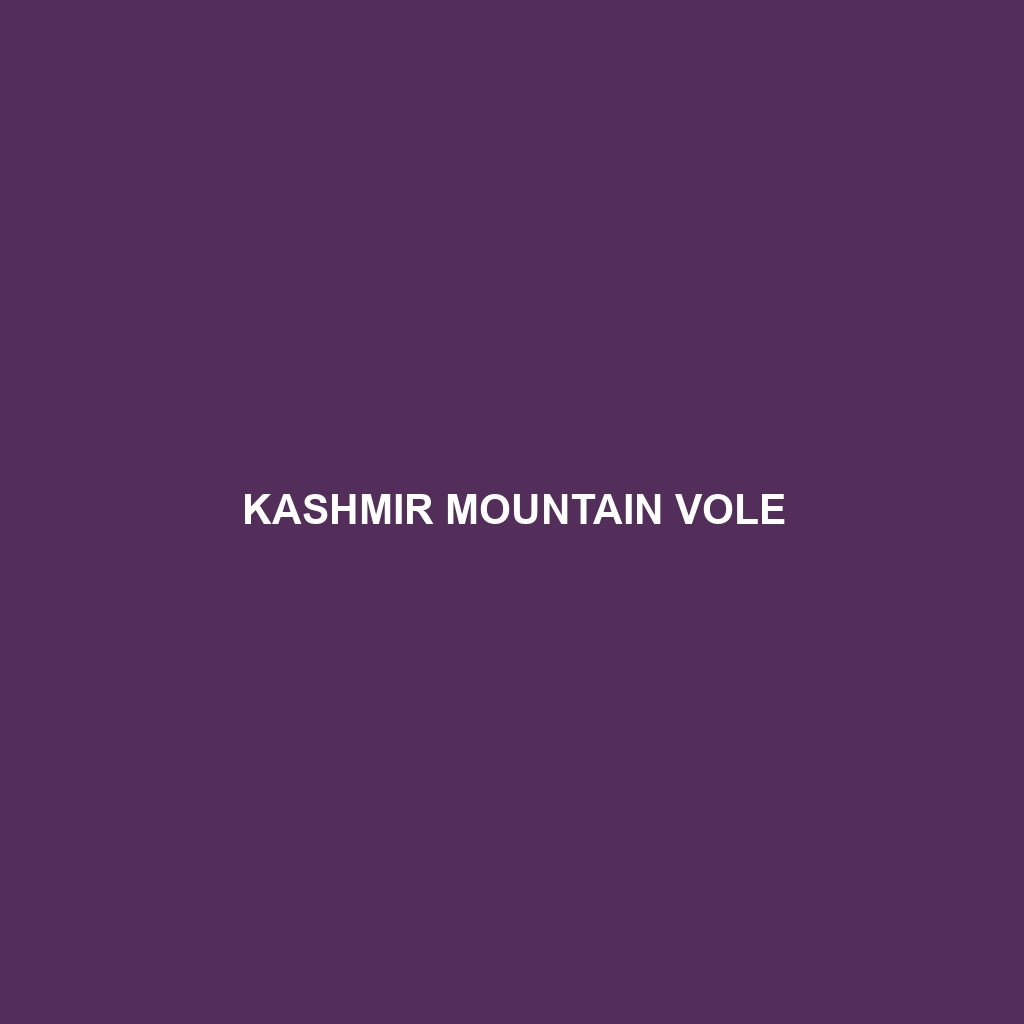 Kashmir Mountain Vole