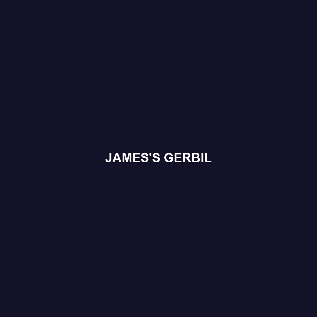 James's Gerbil