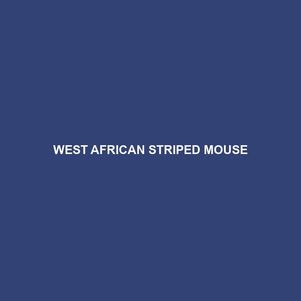 West African Striped Mouse