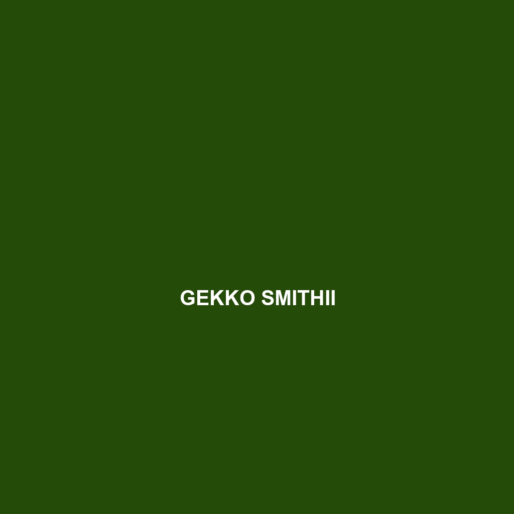 Gekko smithii