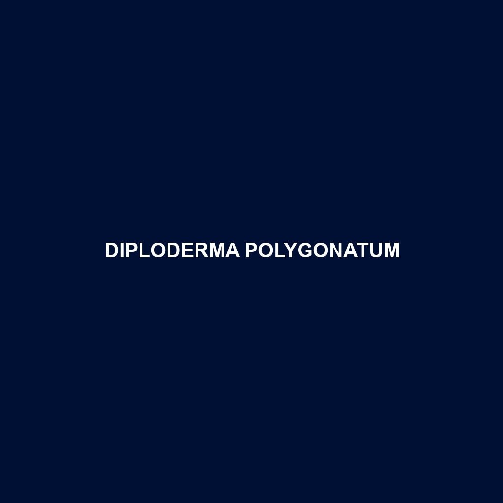 Diploderma polygonatum