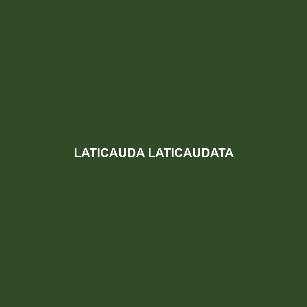 Laticauda laticaudata