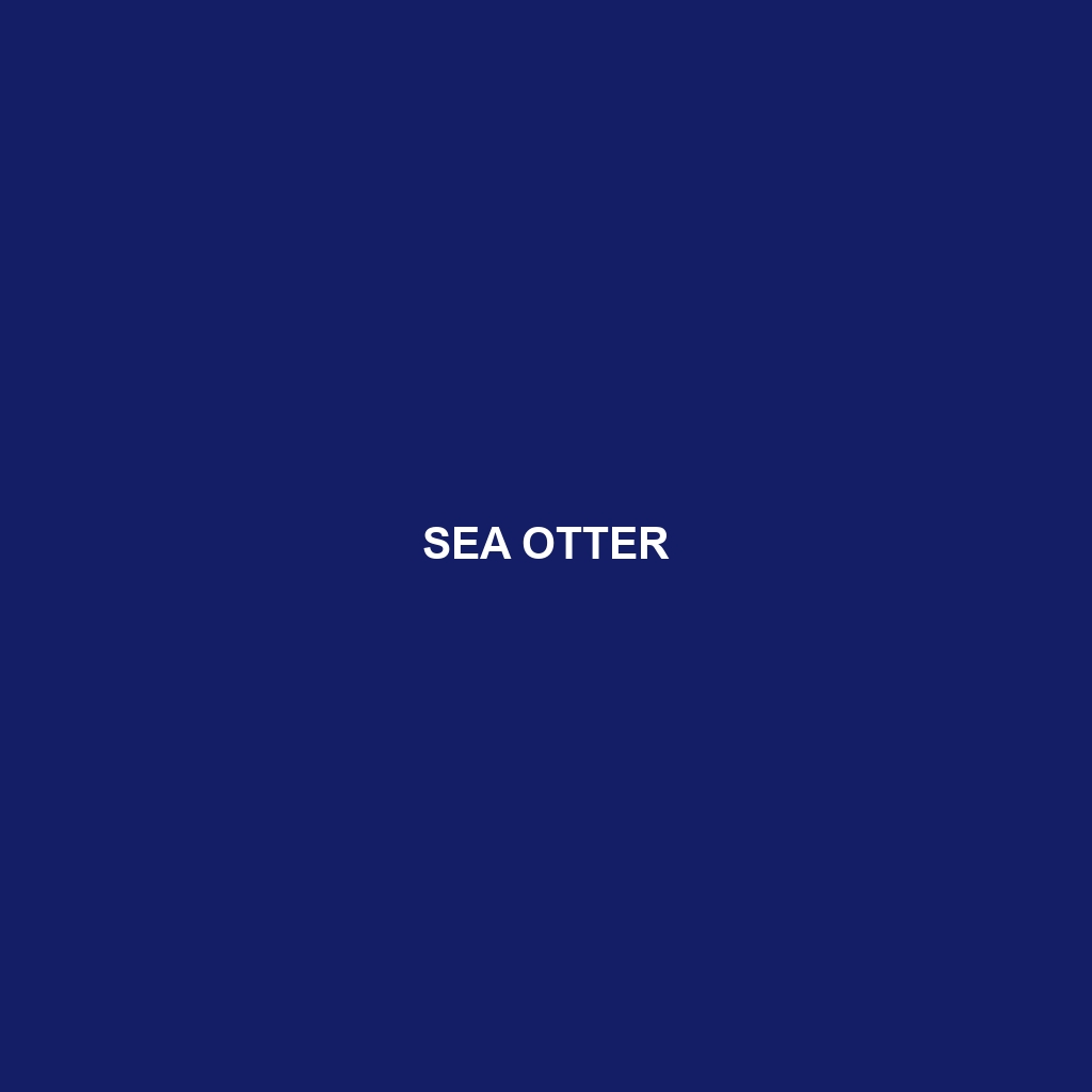 Sea Otter