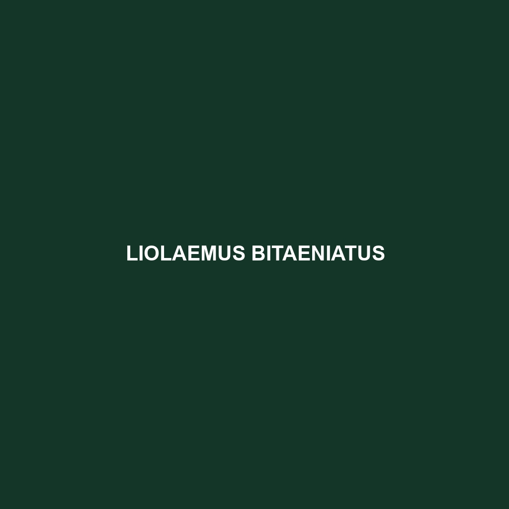 Liolaemus bitaeniatus