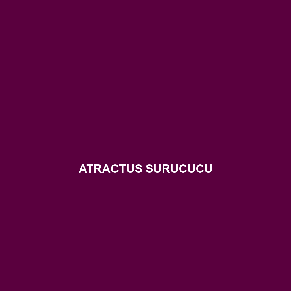 Atractus surucucu