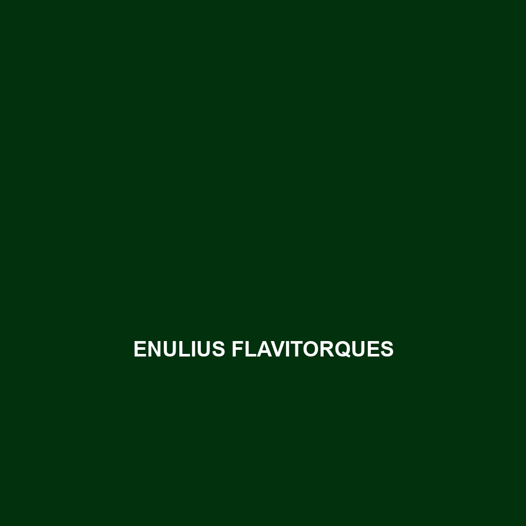 Enulius flavitorques