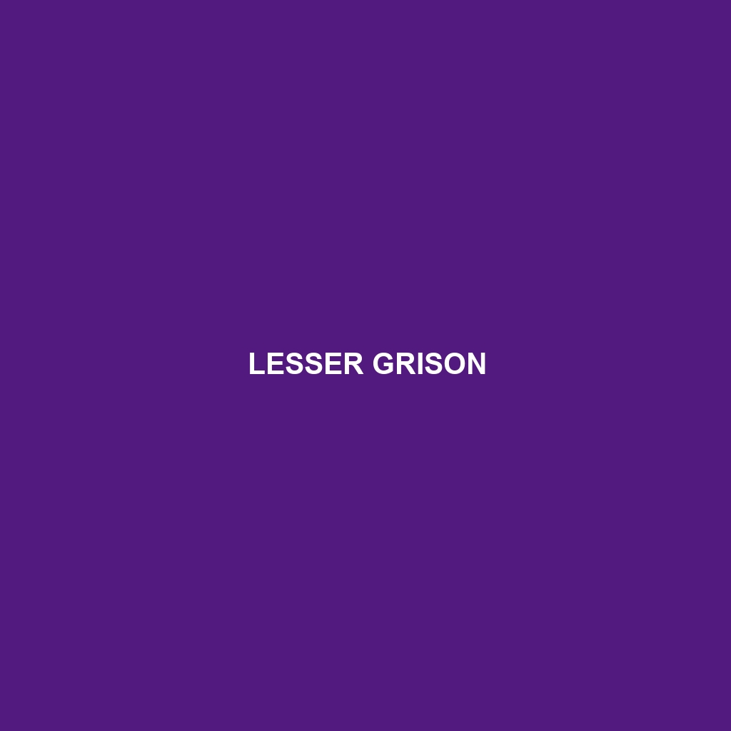 Lesser Grison