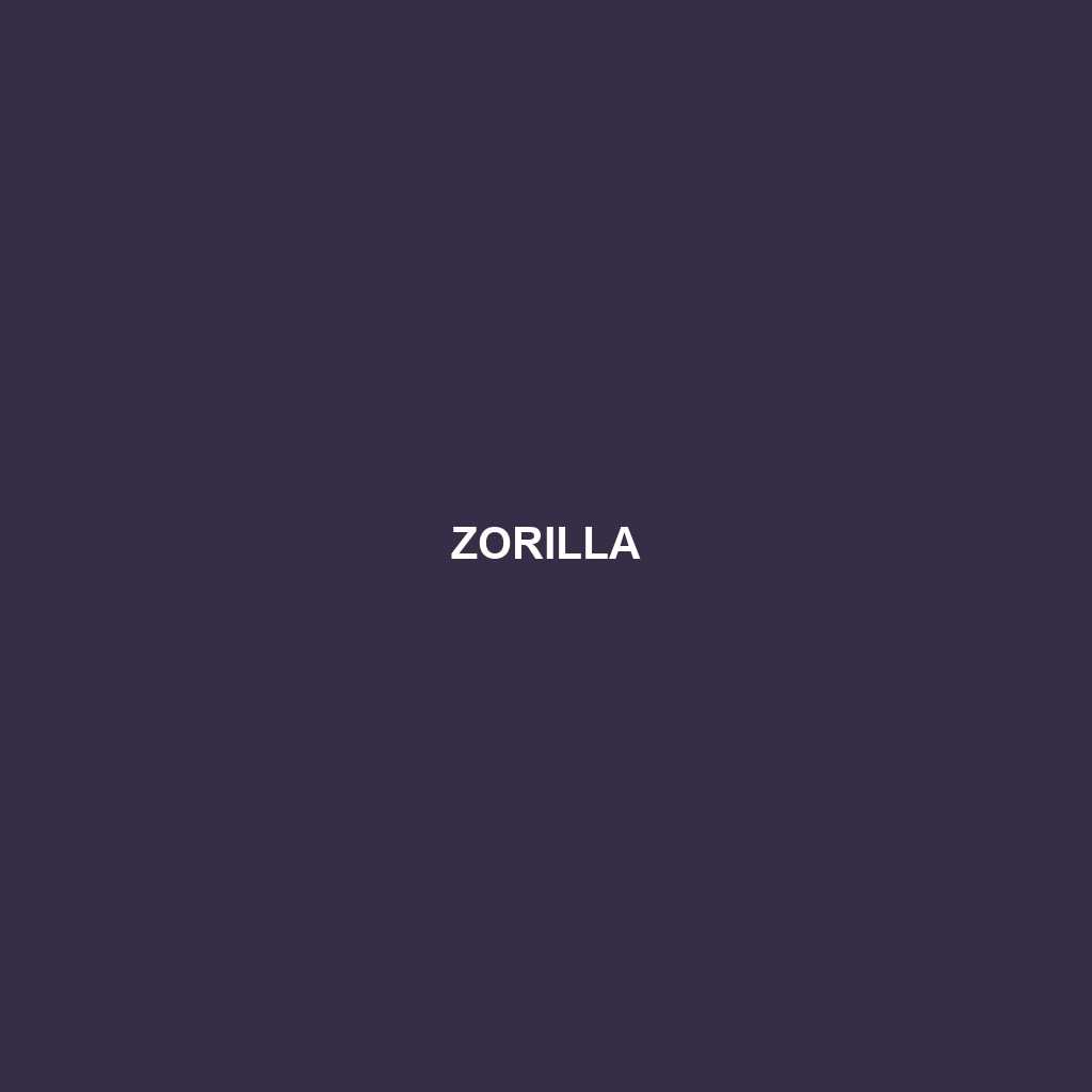 Zorilla