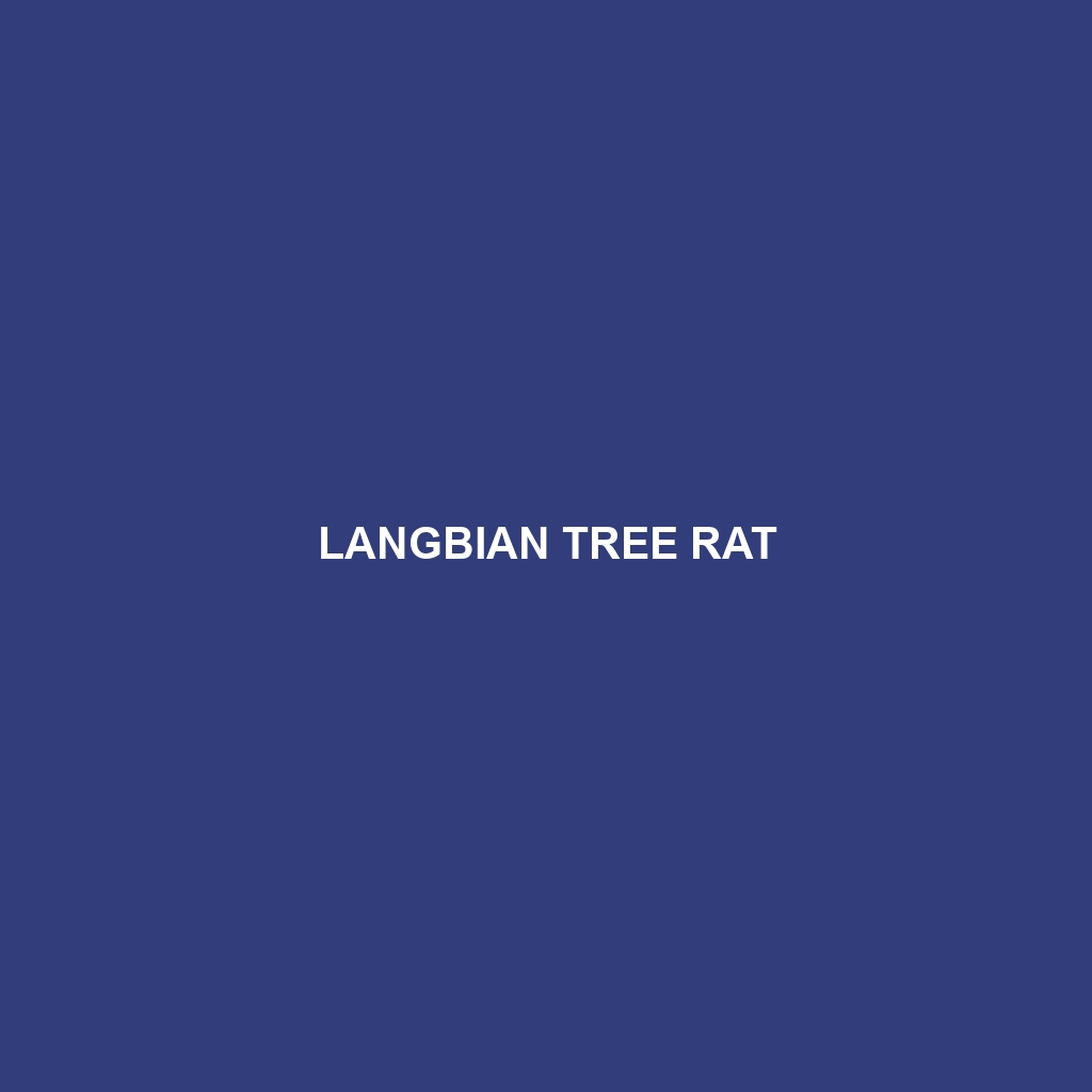 Langbian Tree Rat