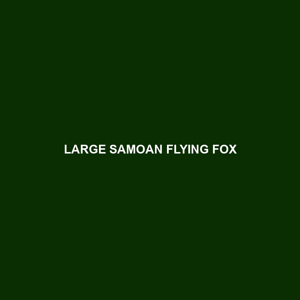 Large Samoan Flying Fox