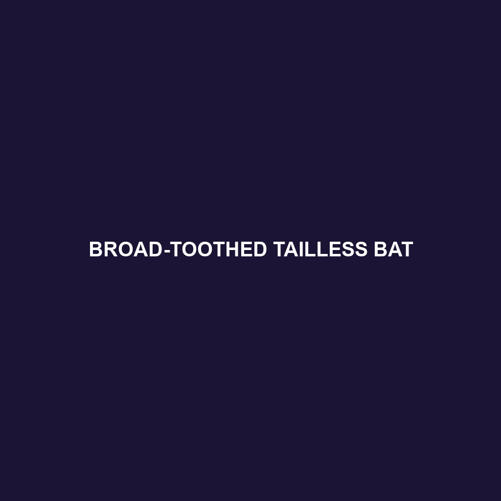 Broad-toothed Tailless Bat