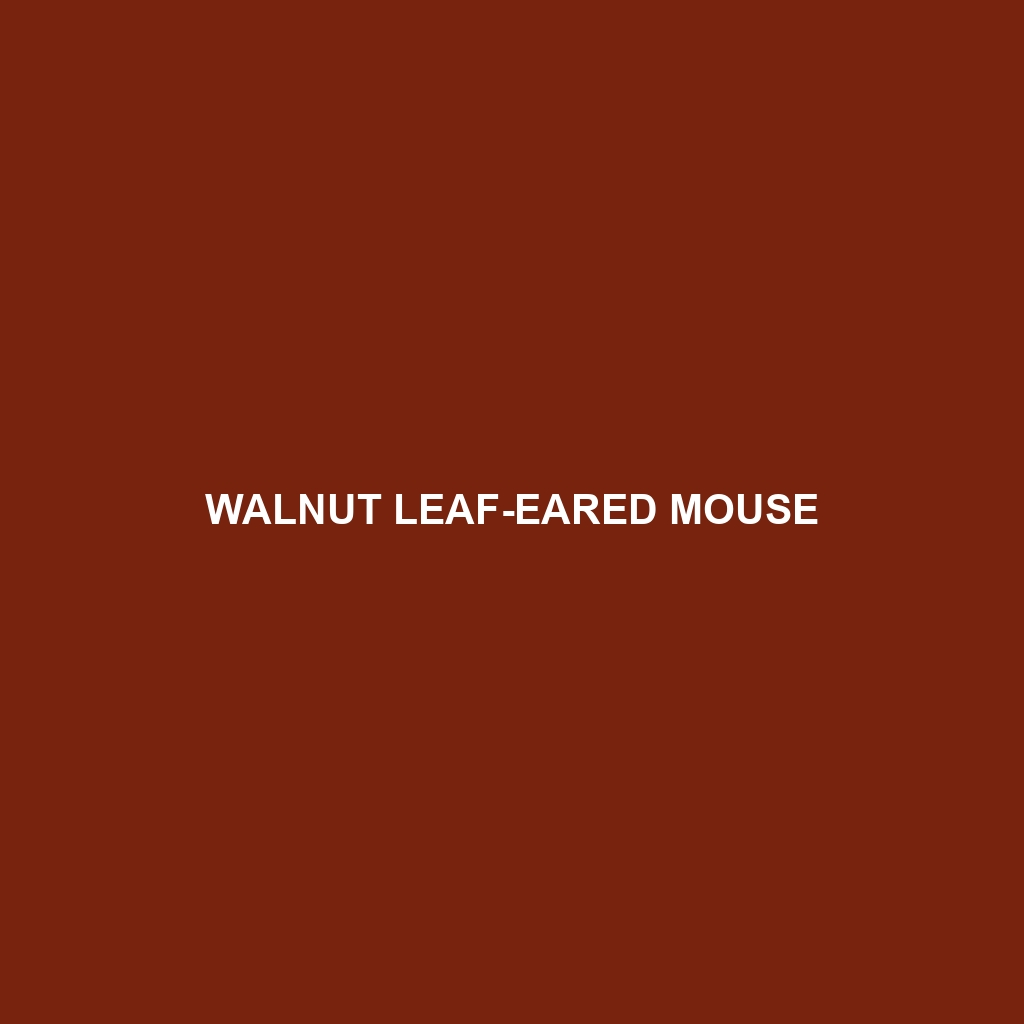 Walnut Leaf-eared Mouse