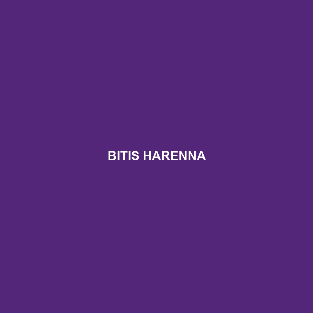 Bitis harenna