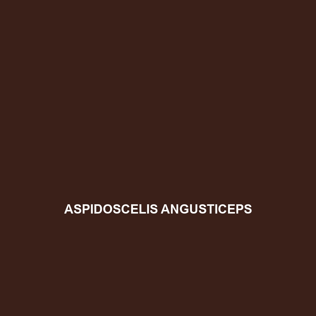 Aspidoscelis sexlineatus