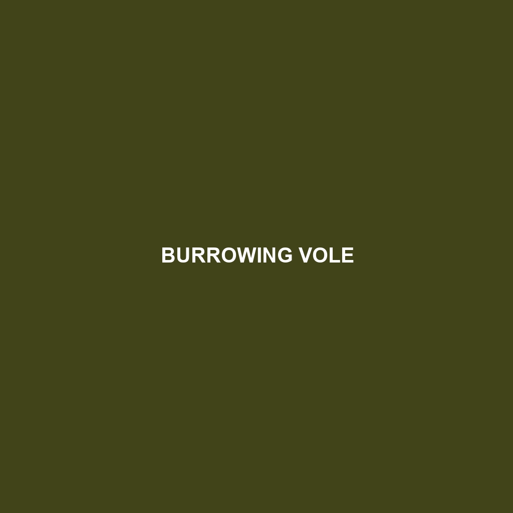 Burrowing Vole