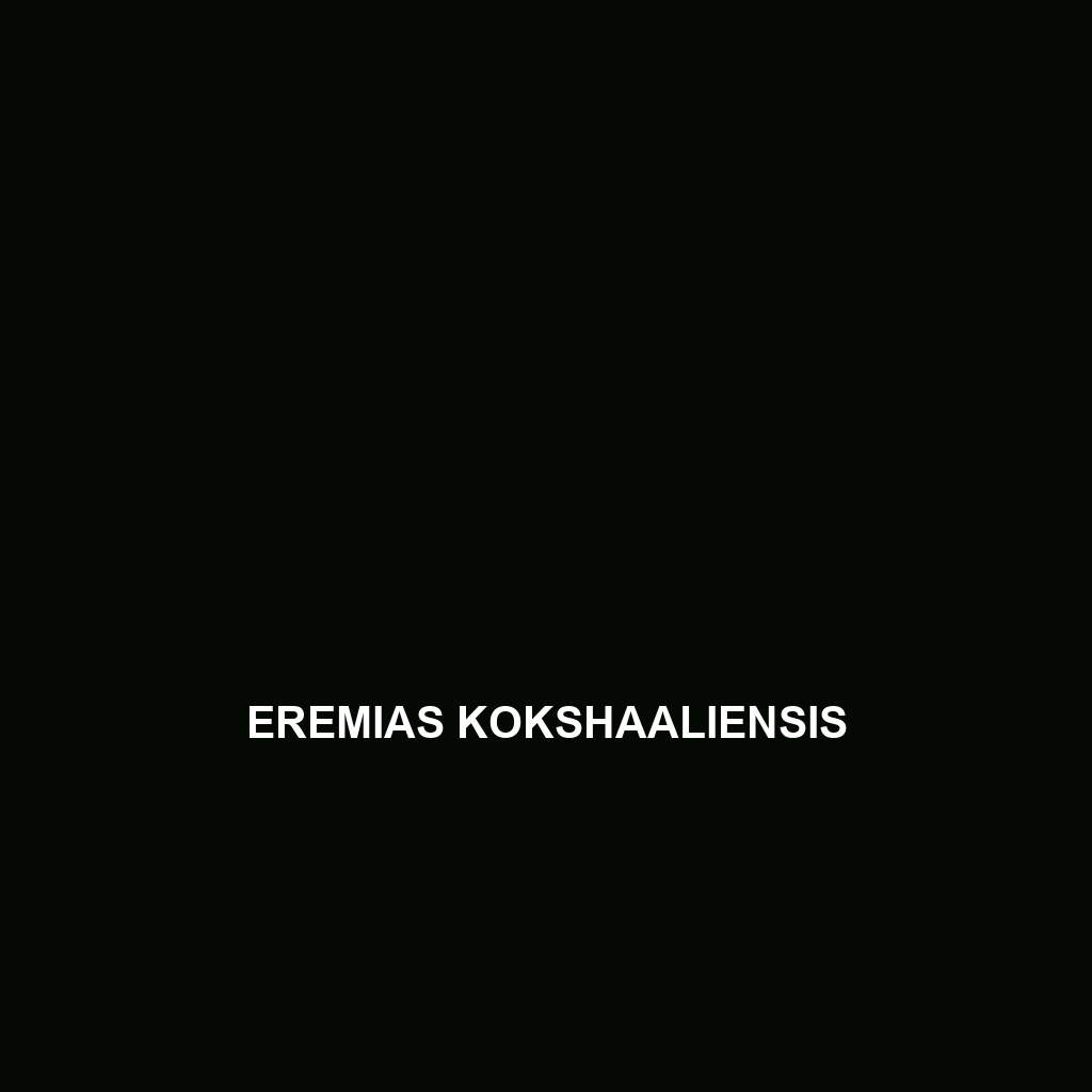 Eremias kokshaaliensis