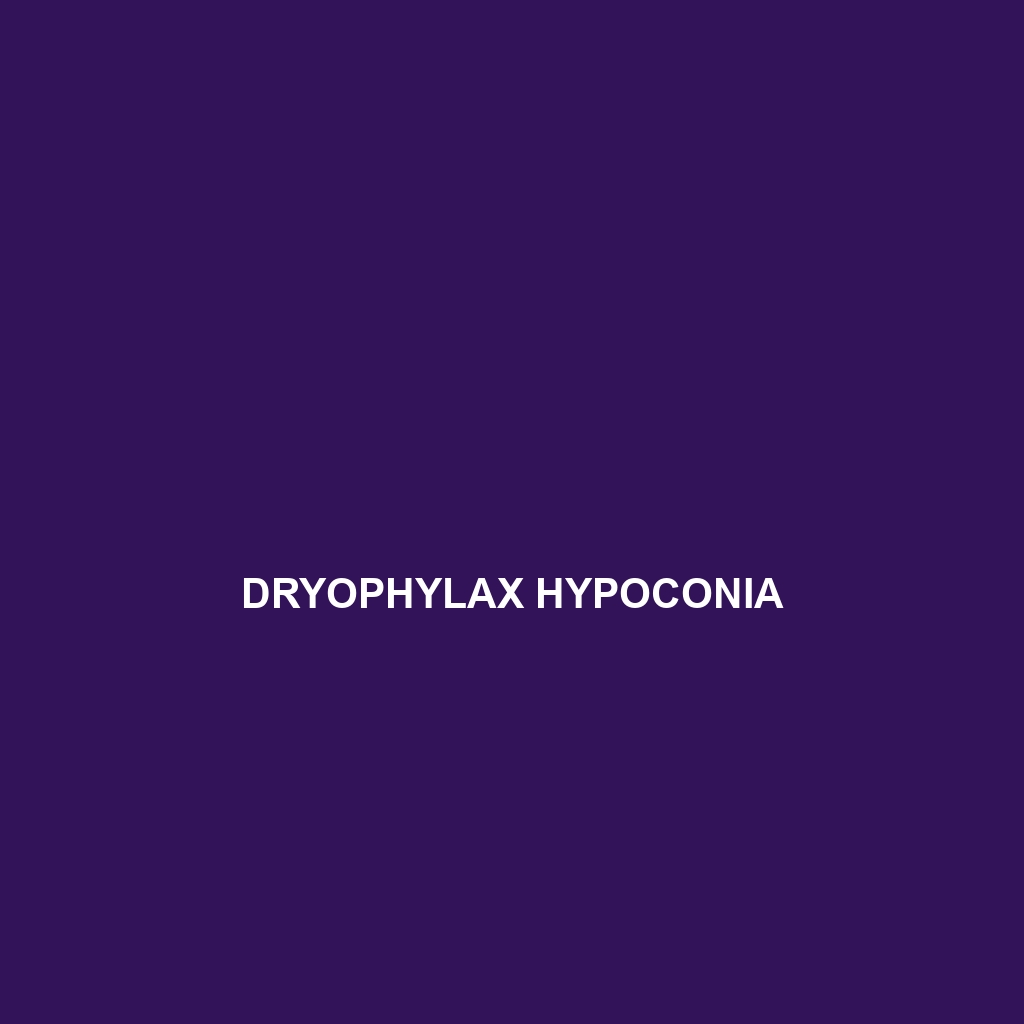 Dryophylax hypoconia