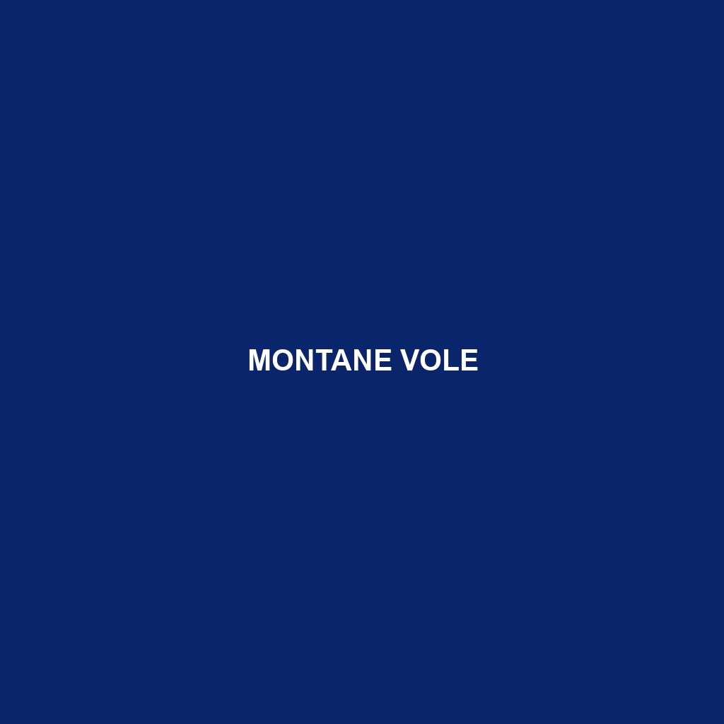 Montane Vole