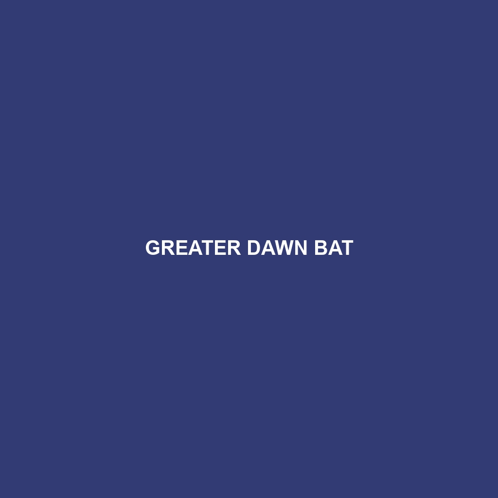 Greater Dawn Bat