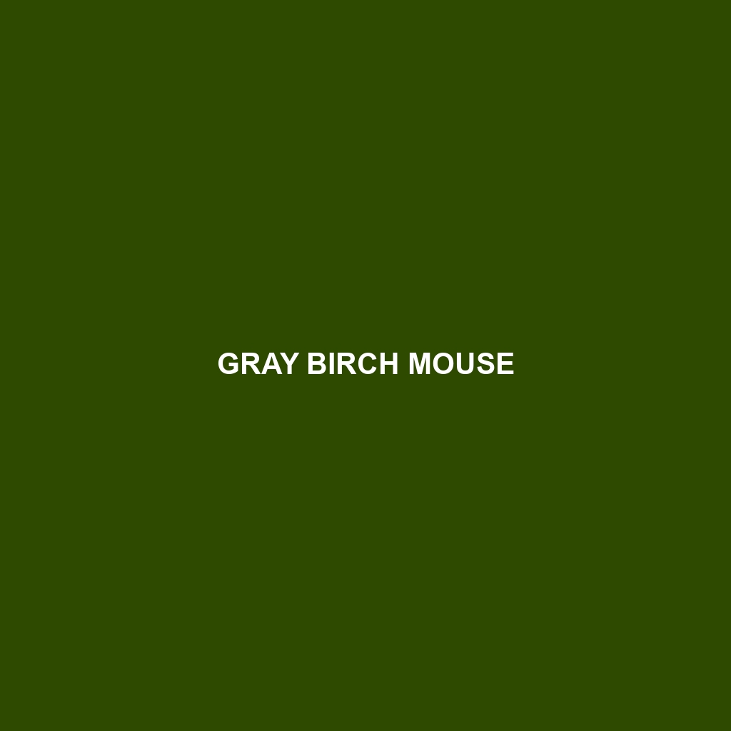 Gray Birch Mouse