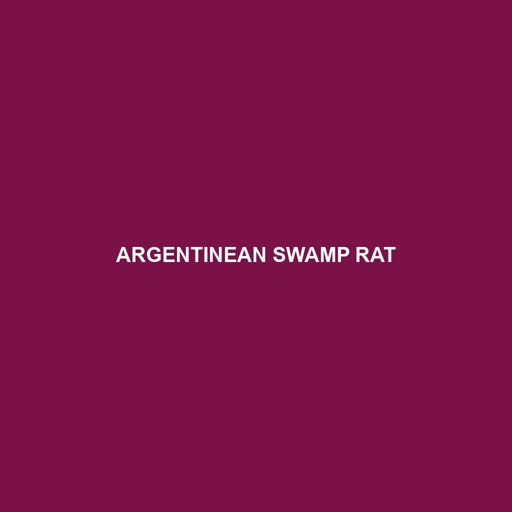 Argentinean Swamp Rat