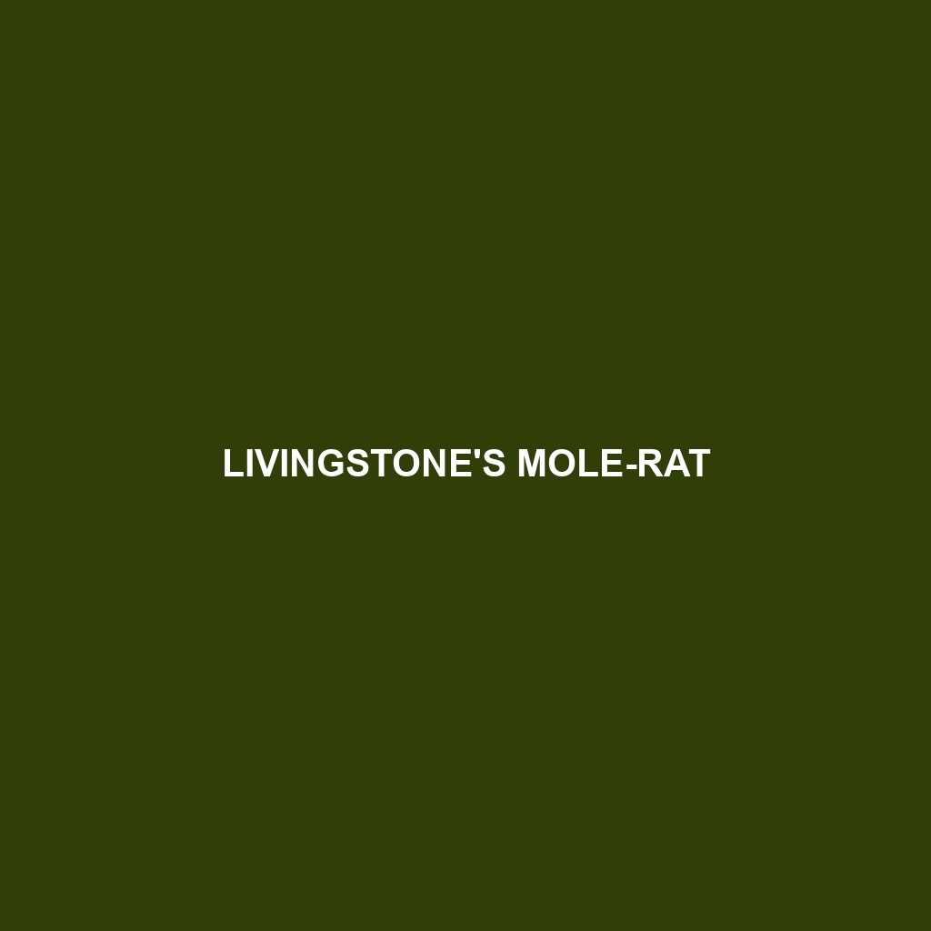 Livingstone's Mole-rat