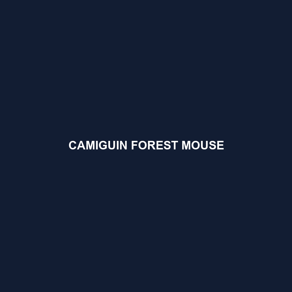 Camiguin Forest Mouse