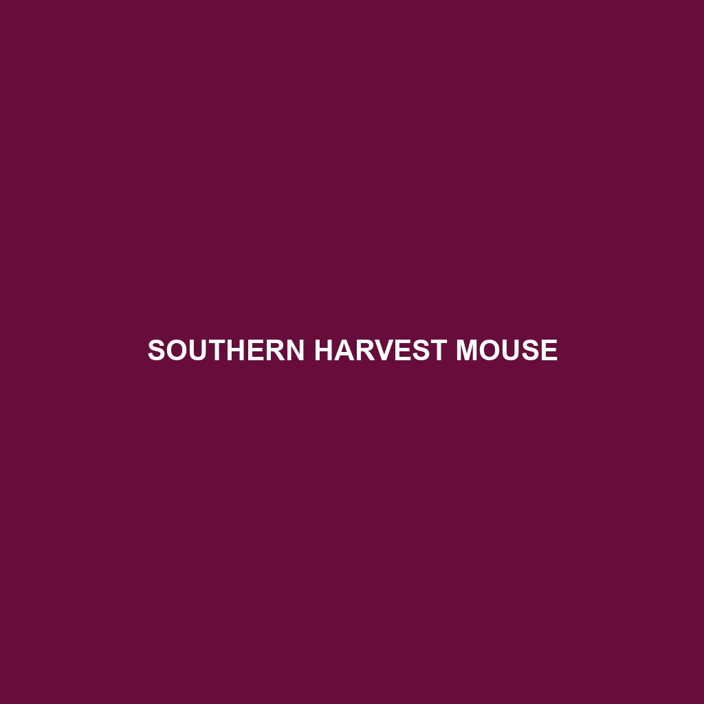 Southern Harvest Mouse