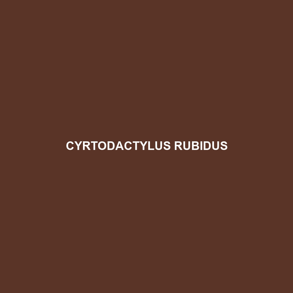 Cyrtodactylus rubidus