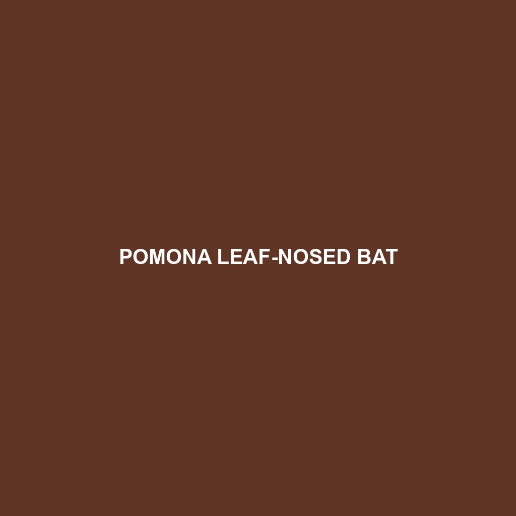 Pomona Leaf-nosed Bat