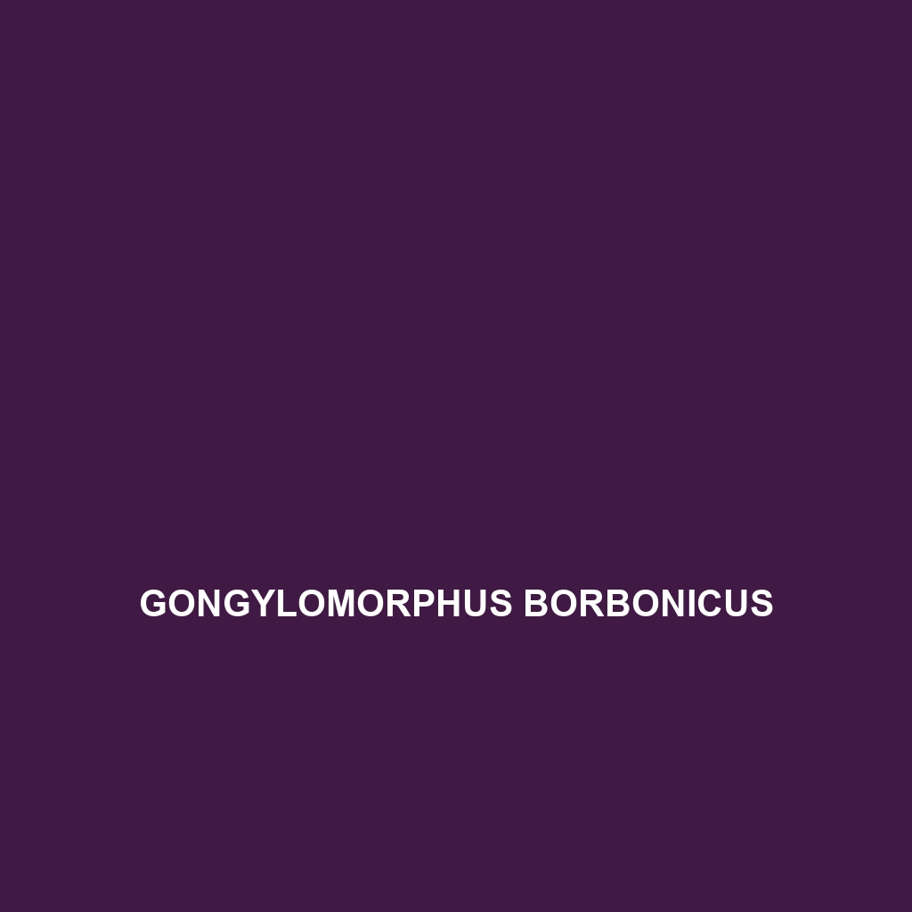 Gongylomorphus borbonicus