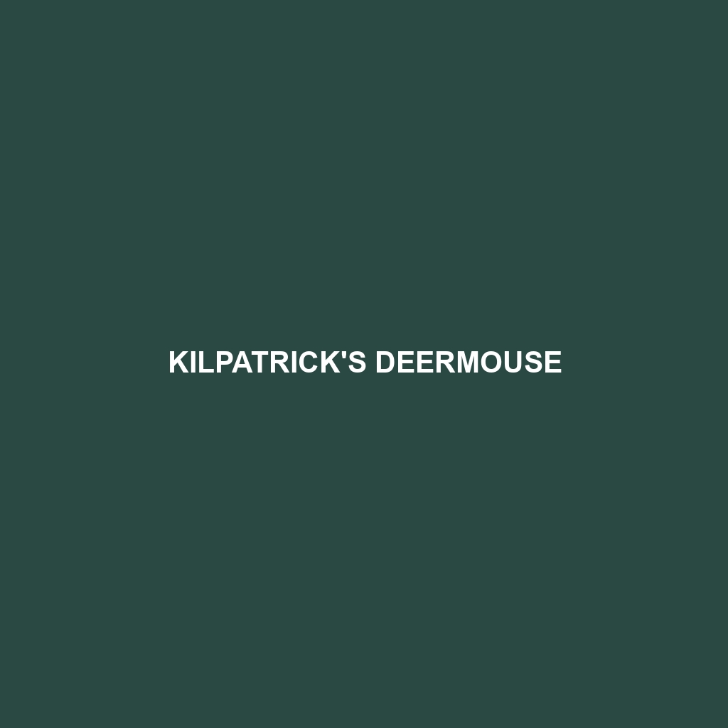 Kilpatrick's Deermouse