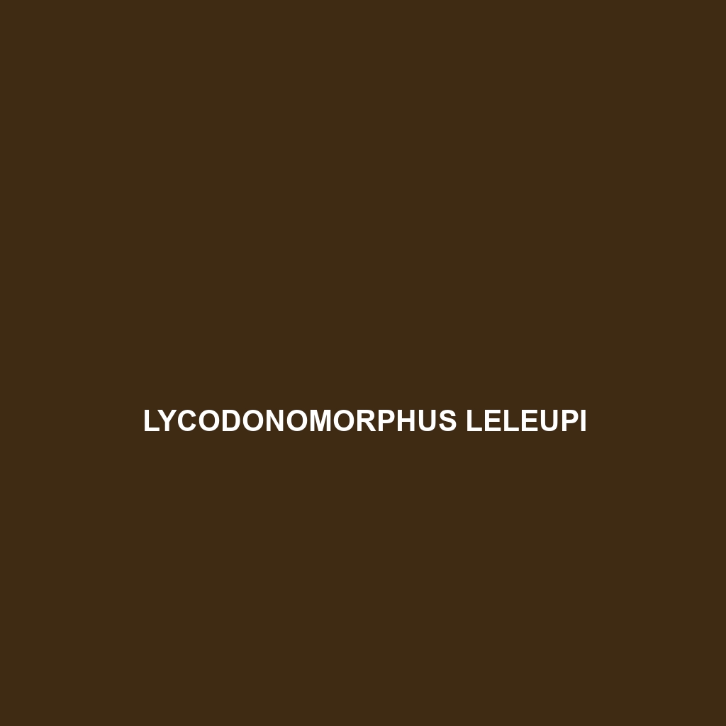 Lycodonomorphus leleupi