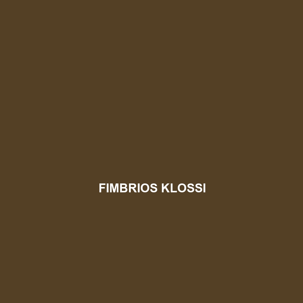 Fimbrios klossi