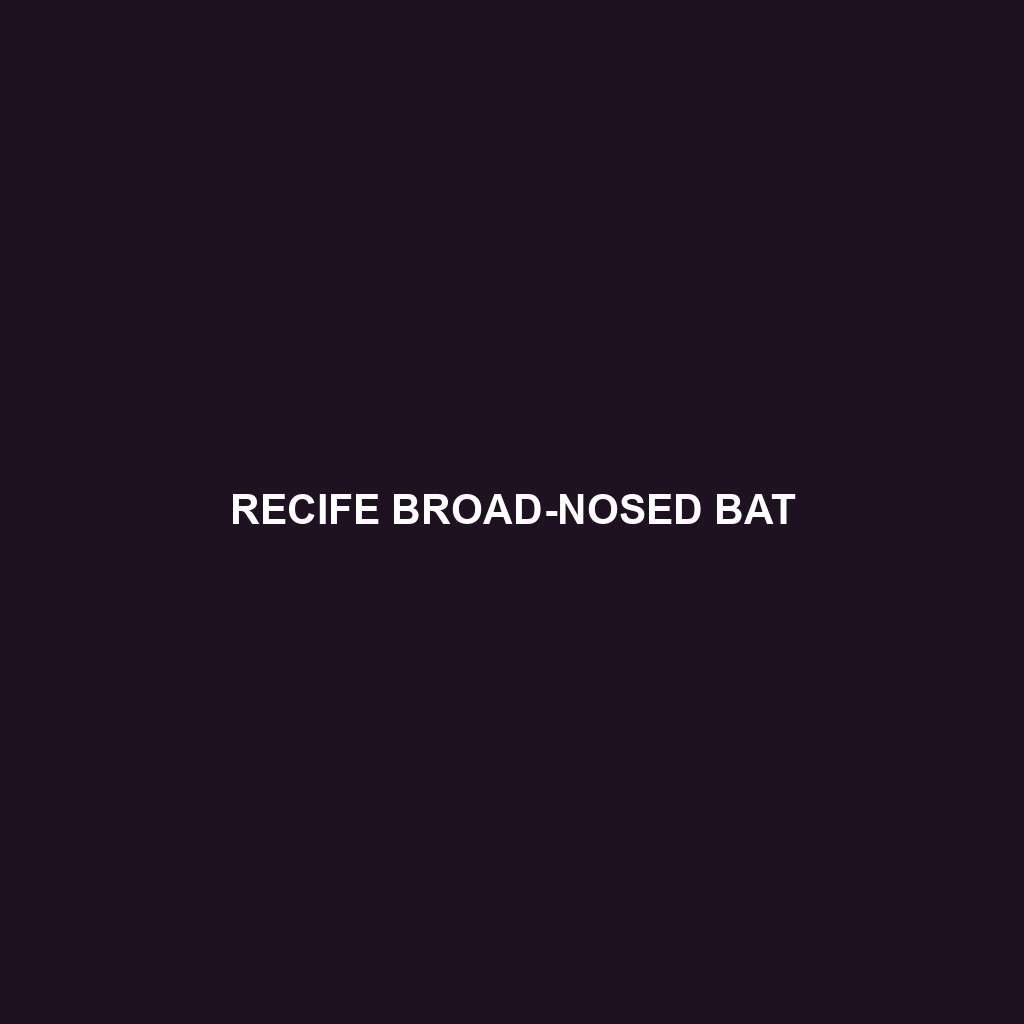 Recife Broad-nosed Bat