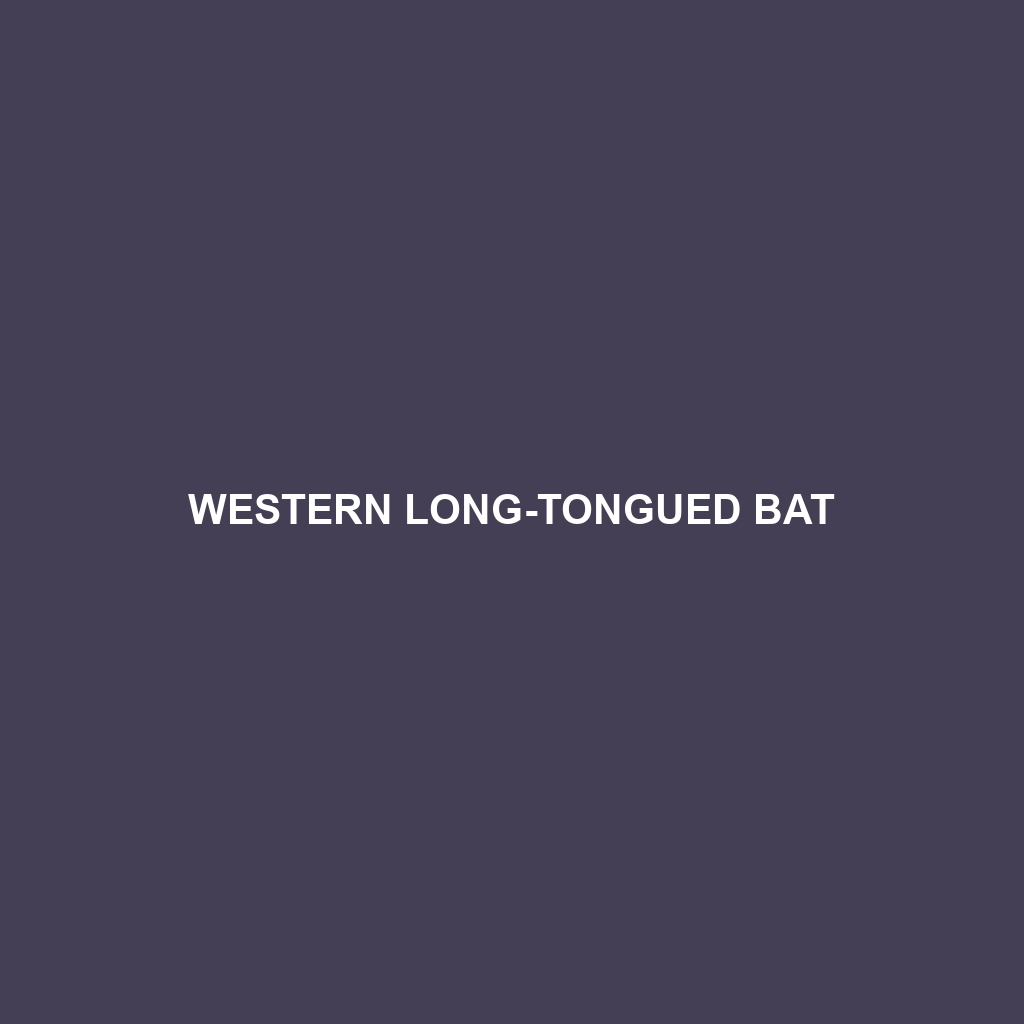 Western Long-tongued Bat