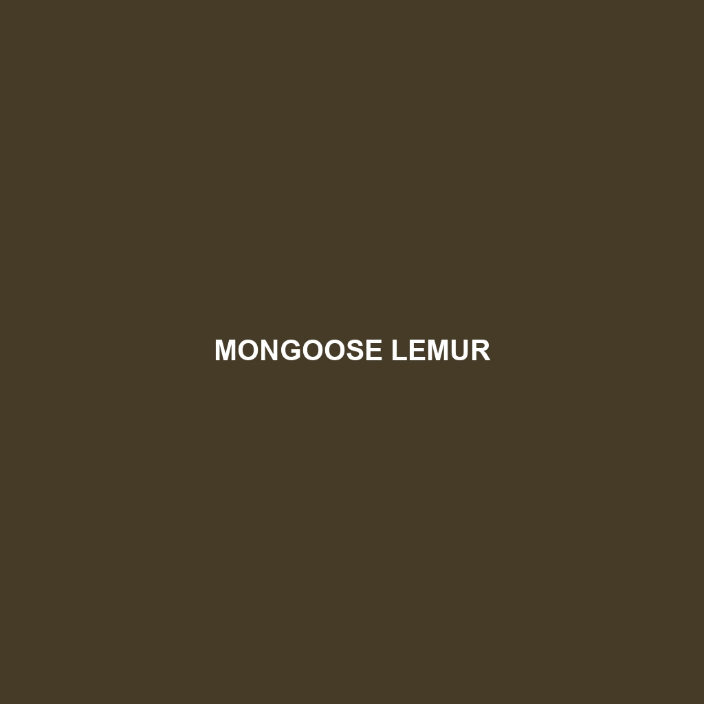 Mongoose Lemur