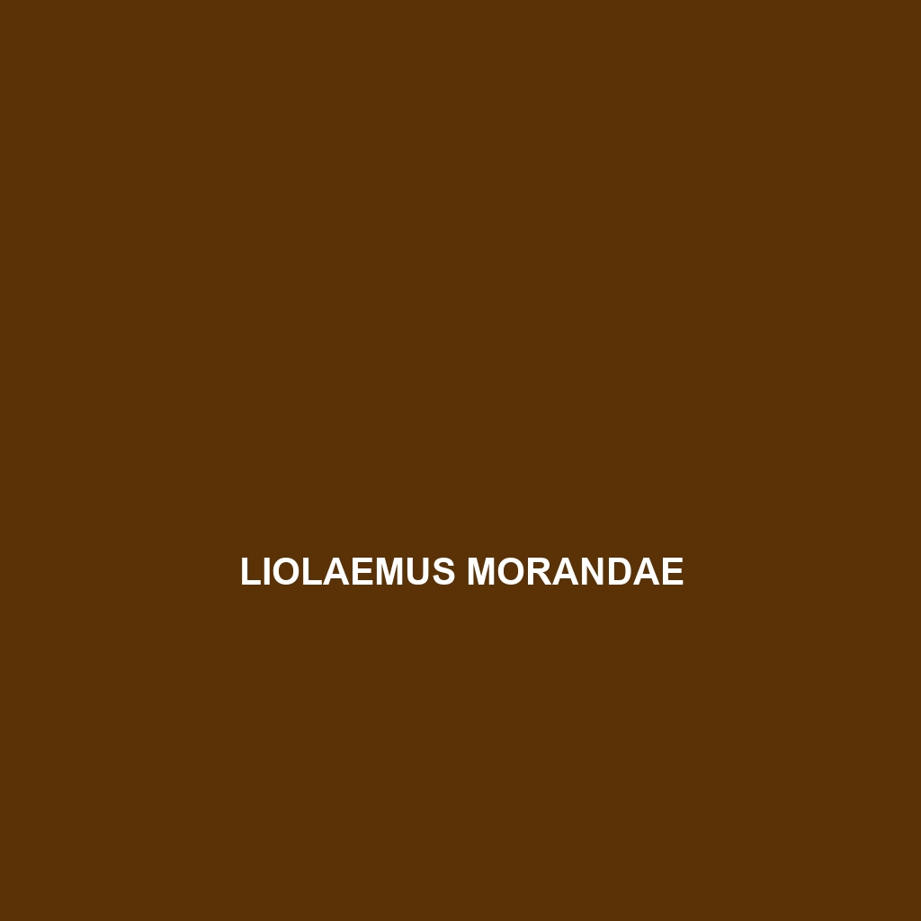 Liolaemus morandae