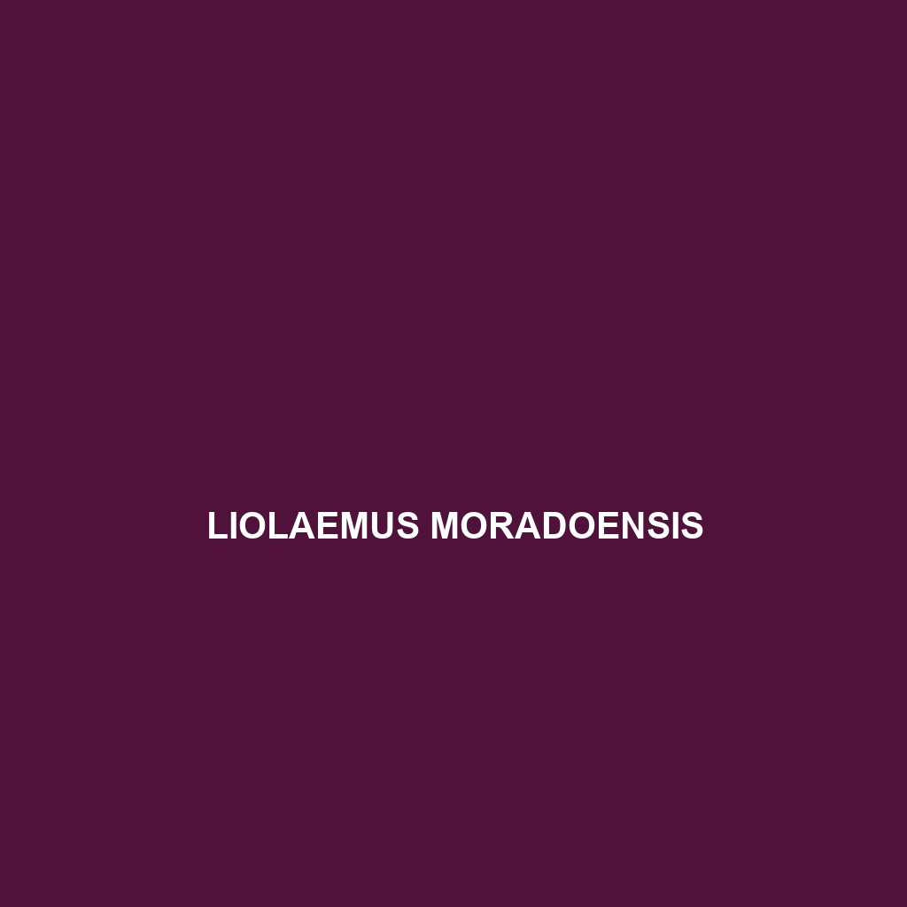 Liolaemus moradoensis