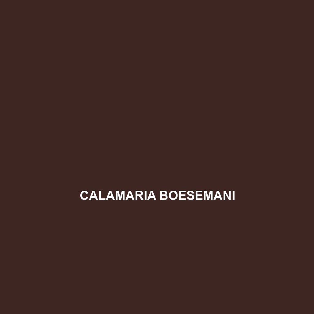 Calamaria boesemani