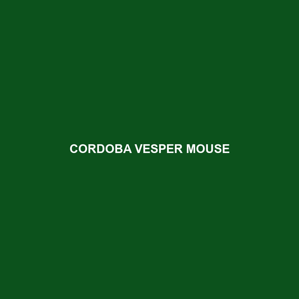 Cordoba Vesper Mouse